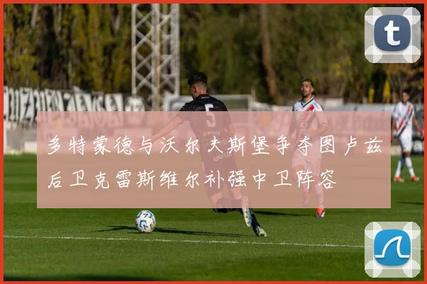 多特蒙德与沃尔夫斯堡争夺图卢兹后卫克雷斯维尔补强中卫阵容